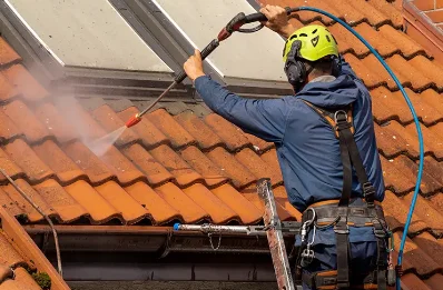 Démoussage et hydrofuge de toiture à Loupe